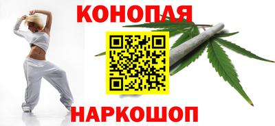 стаф Будённовск