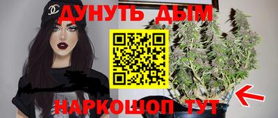стаф Будённовск