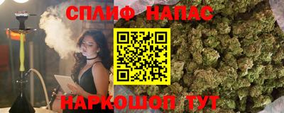 стаф Будённовск