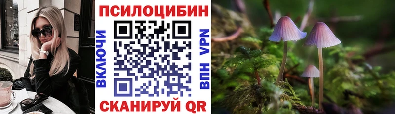 дарнет шоп Вязники Галлюциногенные грибы GOLDEN TEACHER