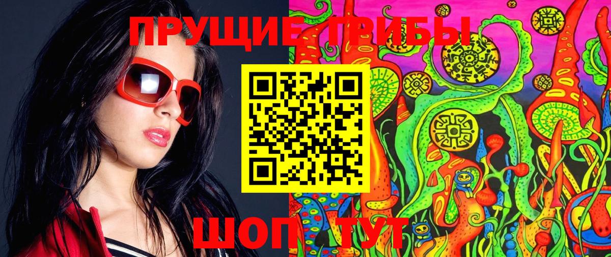 Вязники  Псилоцибиновые грибы Psilocybe  Вход с VPN  Галлюциногенные грибы мухоморы 