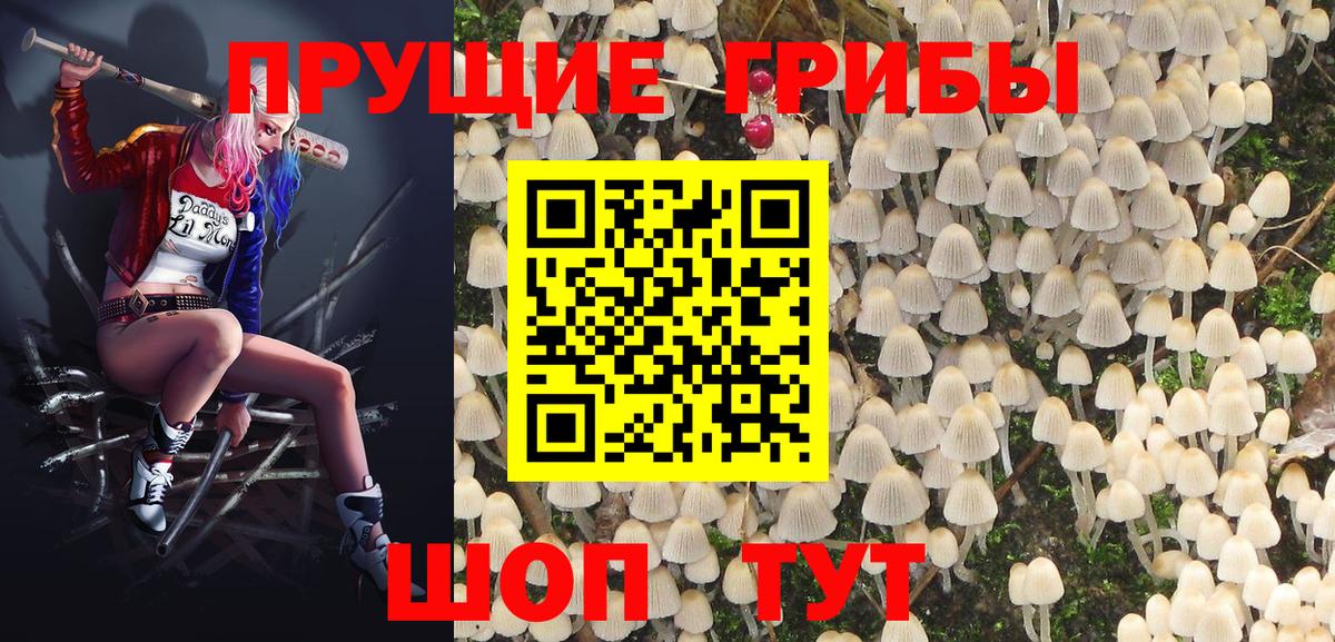 Галлюциногенные грибы Cubensis Вязники