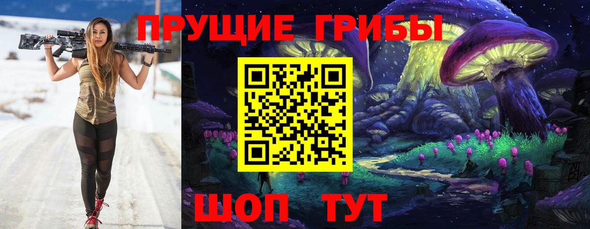 Псилоцибиновые грибы мицелий Вязники